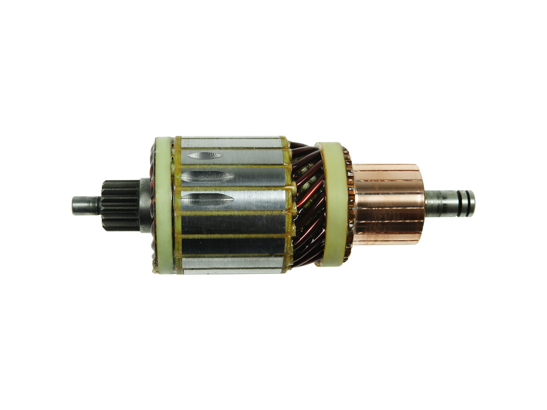 Ancorina, Starter - SA3029 AS-PL