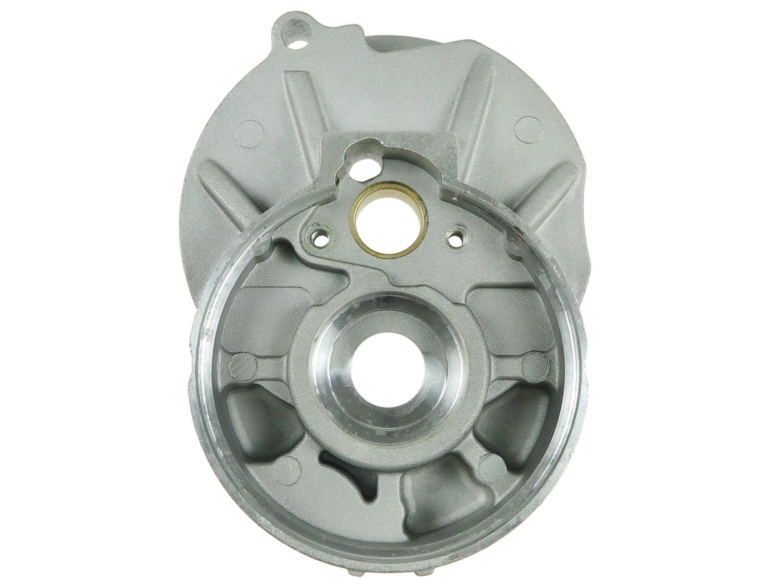 starterio dangtelis, karbiuratorius - SBR5031 AS-PL