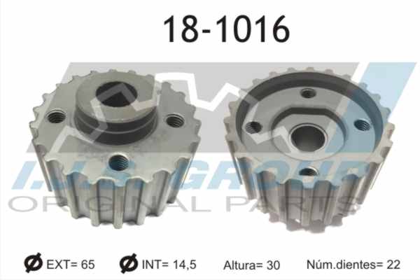 Gear, crankshaft - 18-1016 IJS GROUP