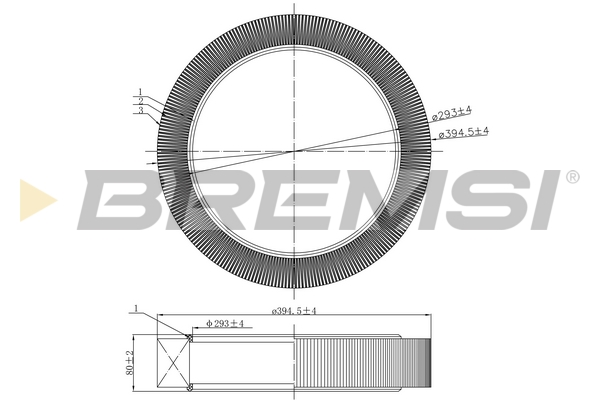 Air Filter - FA2258 BREMSI