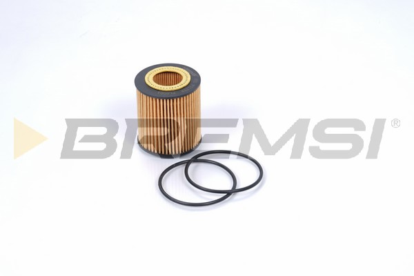 Oil Filter - FL0004 BREMSI