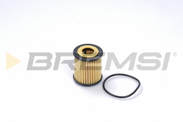 Filtro olio - FL0014 BREMSI