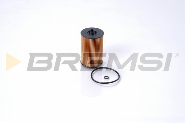 Filtro olio - FL0021 BREMSI