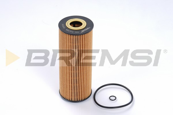 Oil Filter - FL0134 BREMSI