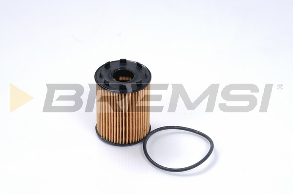 Oil Filter - FL0136 BREMSI