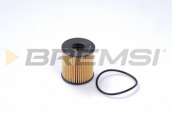 Oil Filter - FL0137 BREMSI
