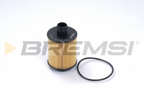 Oil Filter - FL0138 BREMSI