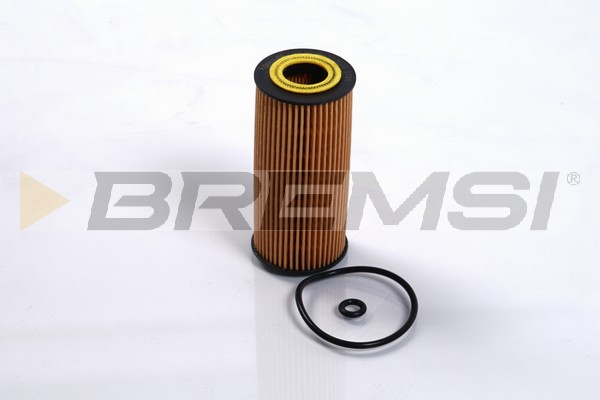 Oil Filter - FL0249 BREMSI