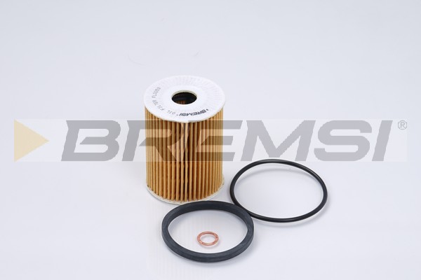 Oil Filter - FL0253 BREMSI