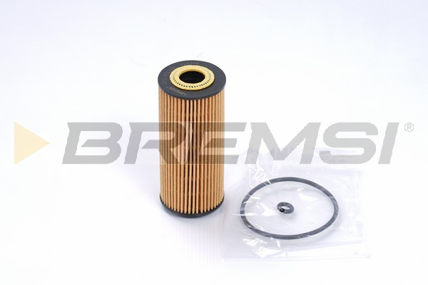 Oil Filter - FL0256 BREMSI