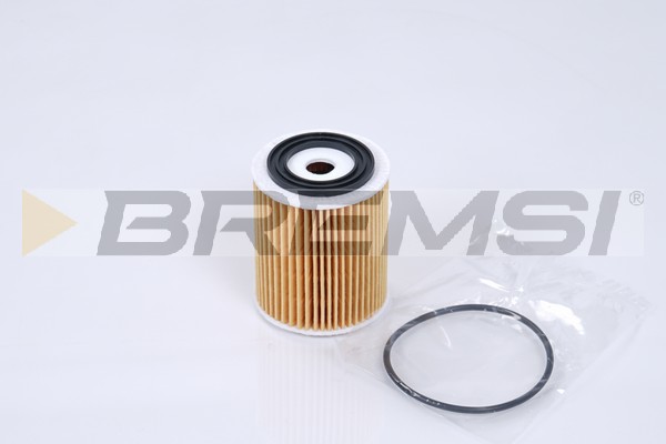 Oil Filter - FL0269 BREMSI