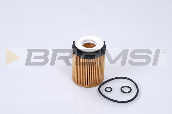 Oil Filter - FL0270 BREMSI