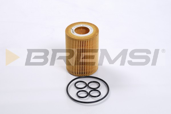 Filtro olio - FL0273 BREMSI