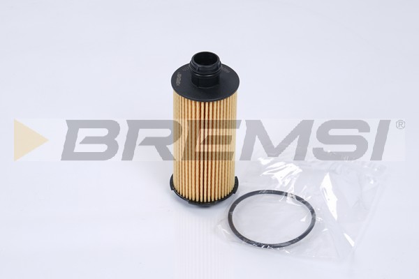 Oil Filter - FL0289 BREMSI
