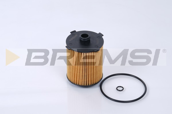 Oil Filter - FL0290 BREMSI