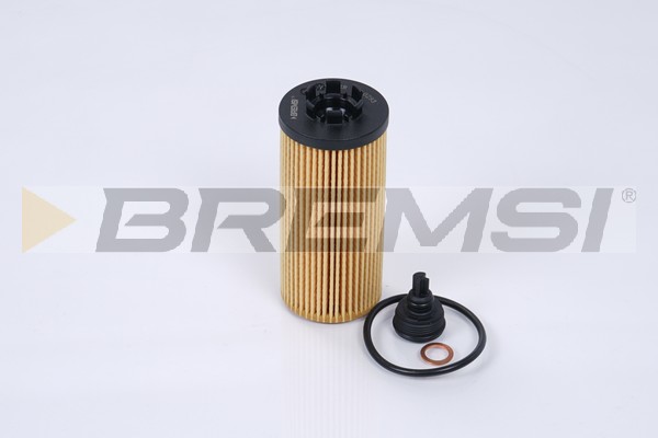 Oil Filter - FL0293 BREMSI