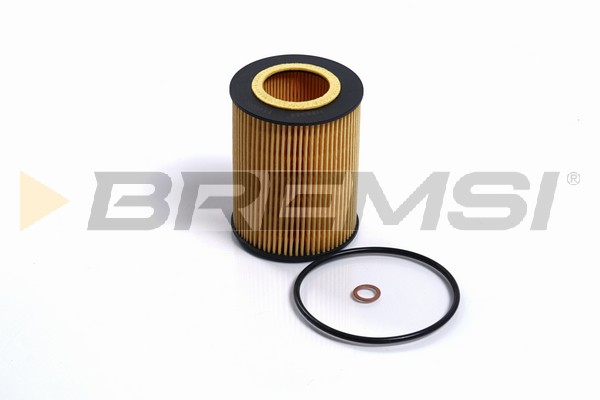 Oil Filter - FL0688 BREMSI