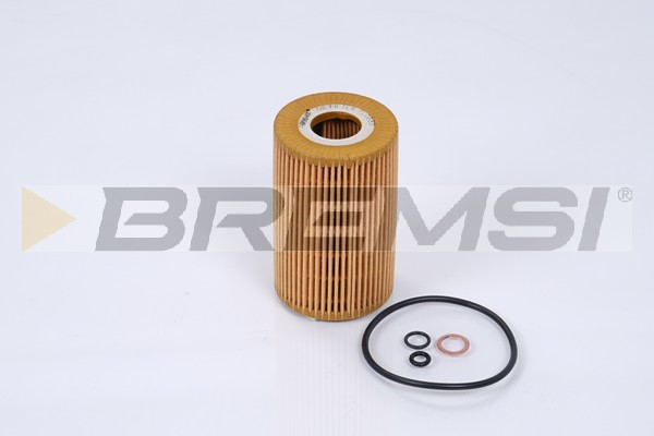 Oil Filter - FL0689 BREMSI