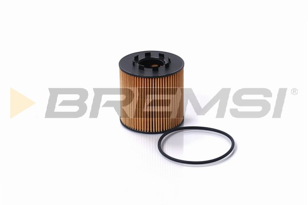 Filtro olio - FL0693 BREMSI