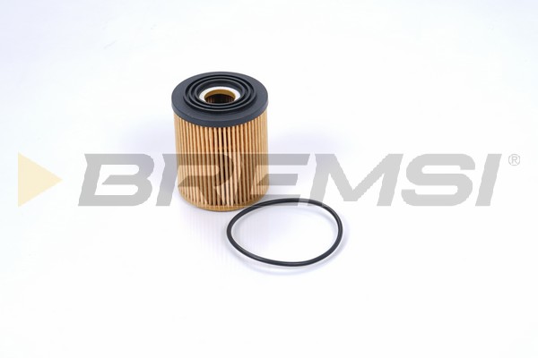 Oil Filter - FL0694 BREMSI