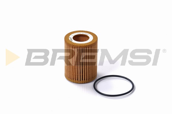 Filtro olio - FL0697 BREMSI