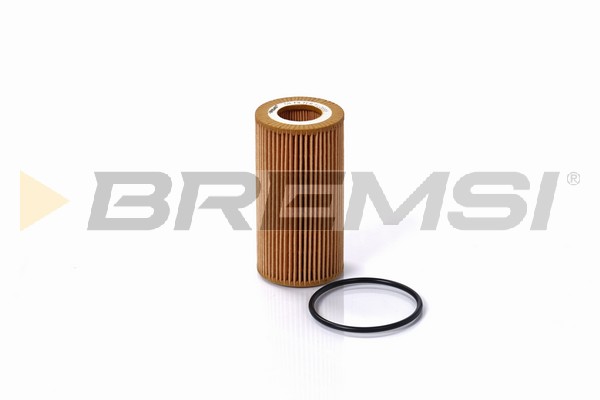 Oil Filter - FL0698 BREMSI