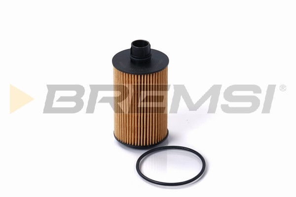 Oil Filter - FL0699 BREMSI