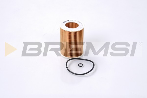 alyvos filtras - FL0707 BREMSI