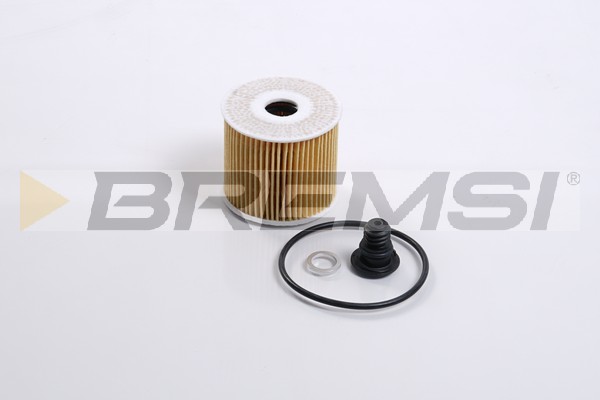 Oil Filter - FL2459 BREMSI