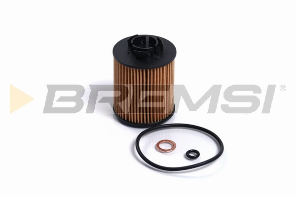 Oil Filter - FL2487 BREMSI