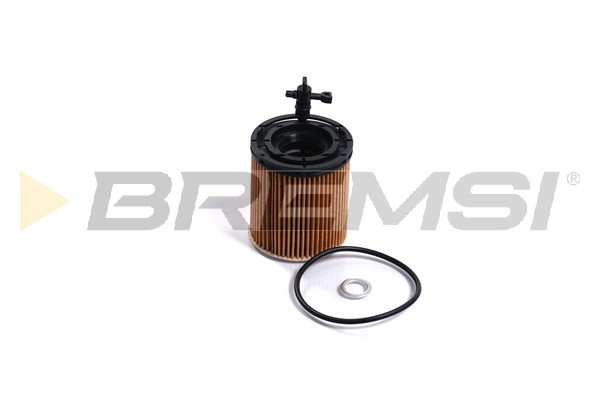 alyvos filtras - FL2507 BREMSI