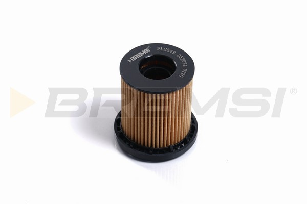 Oil Filter - FL2549 BREMSI