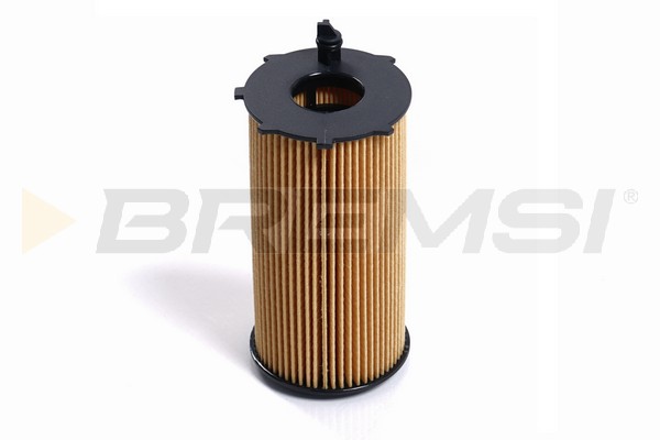 Oil Filter - FL2633 BREMSI
