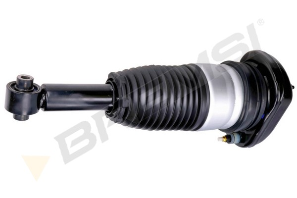 Gamba elastica con ammortiz. pneumatico - SA2794 BREMSI
