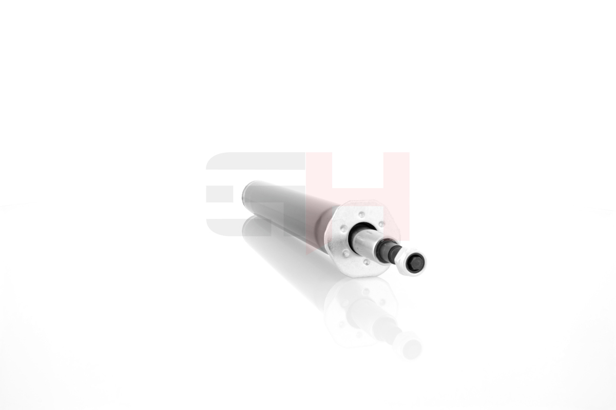 Shock Absorber - GH-313612 GH