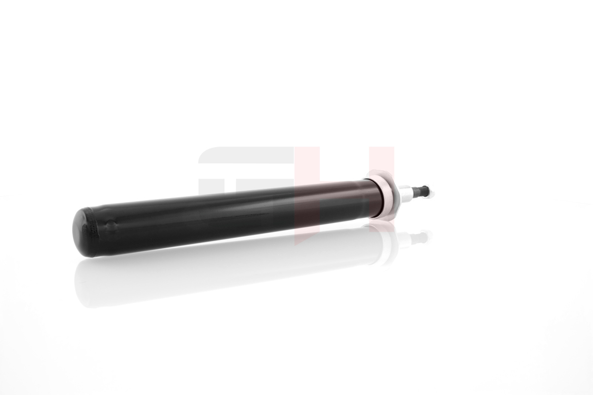 Shock Absorber - GH-313612 GH