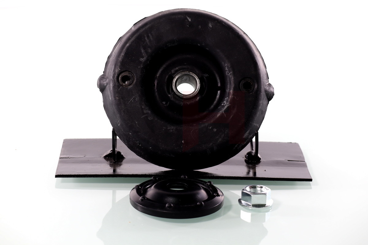 Repair Kit, suspension strut - GH-361938 GH