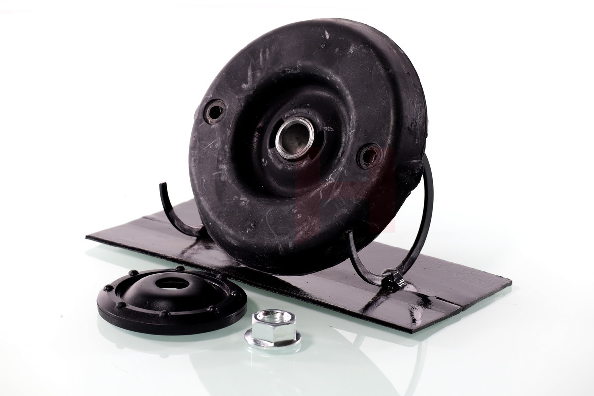 Repair Kit, suspension strut - GH-361938 GH