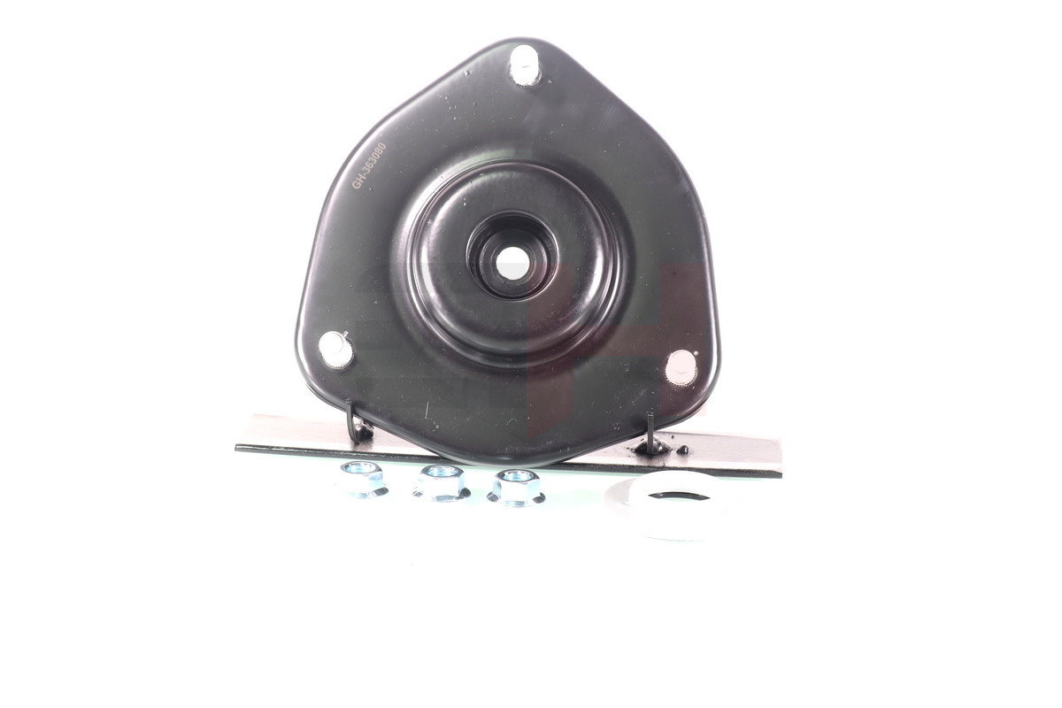 Repair Kit, suspension strut - GH-363080 GH