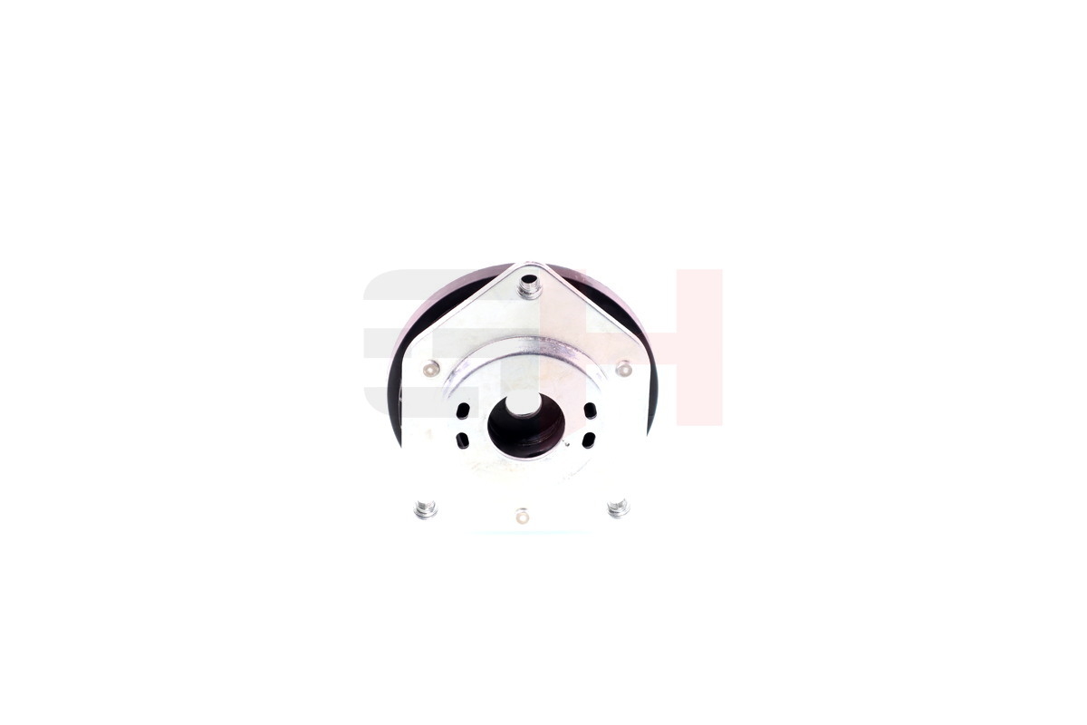 Repair Kit, suspension strut - GH-363366 GH