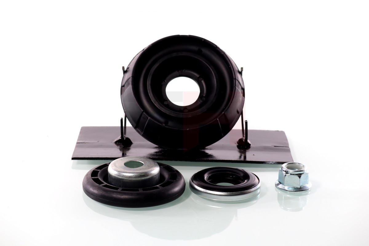 Repair Kit, suspension strut - GH-363999 GH