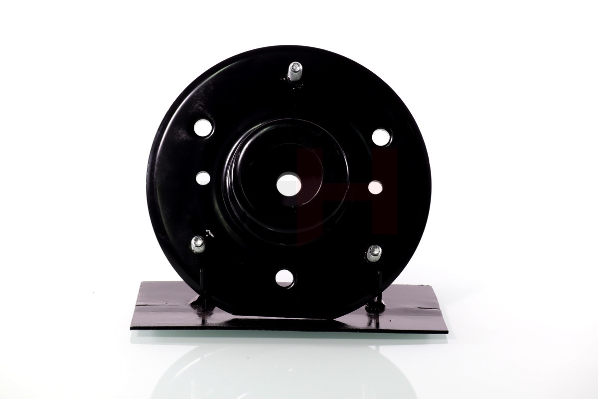 Repair Kit, suspension strut - GH-365055 GH