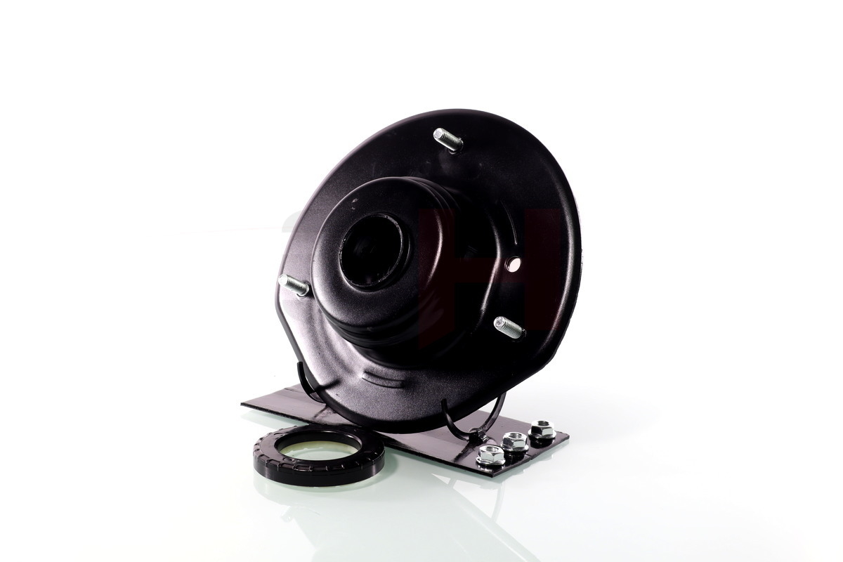 Repair Kit, suspension strut - GH-369321 GH