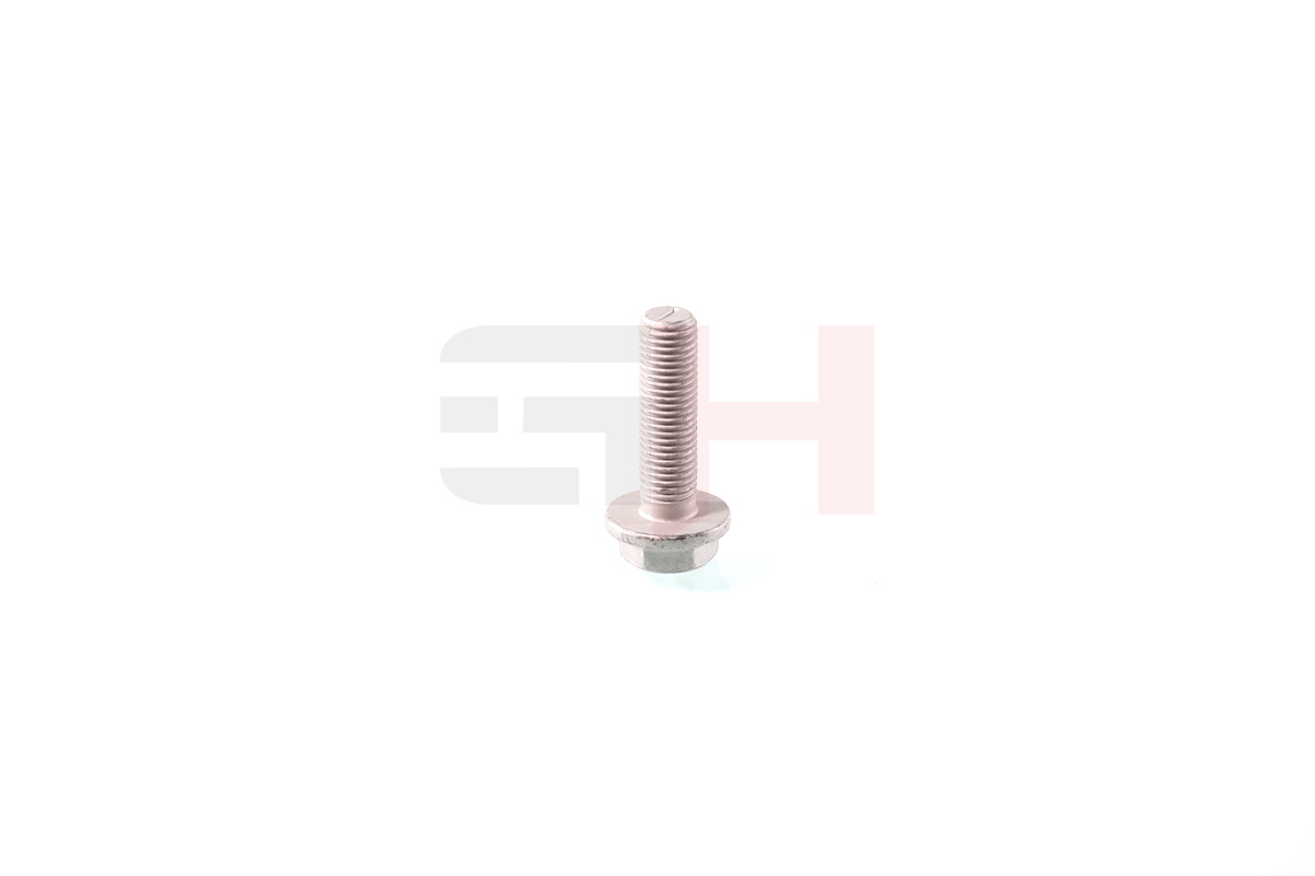 Screw - GH-391969 GH