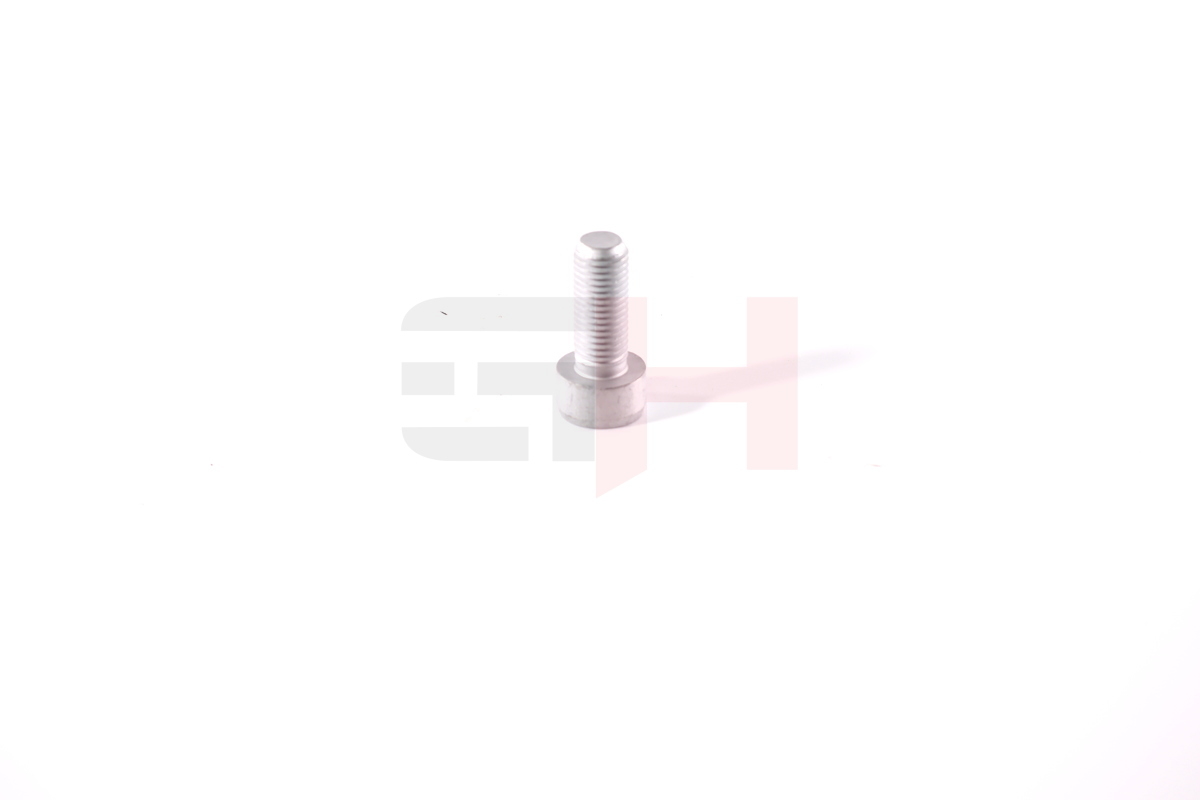 Vite di fermo, Snodo portante/di guida - GH-394707 GH