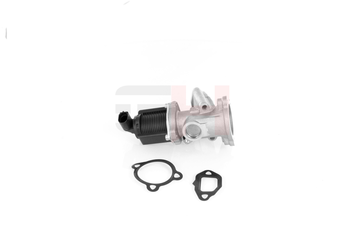 EGR Valve - GH-732344 GH