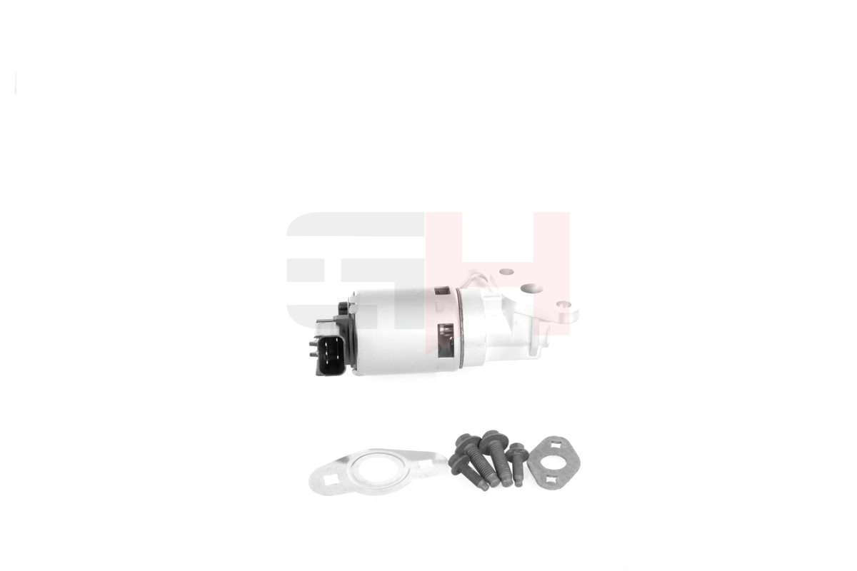 Valvola ricircolo gas scarico-EGR - GH-739321 GH