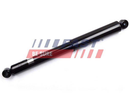 Shock Absorber - FT11313 FAST