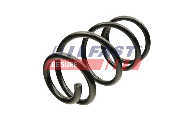 Coil Spring - FT12291 FAST