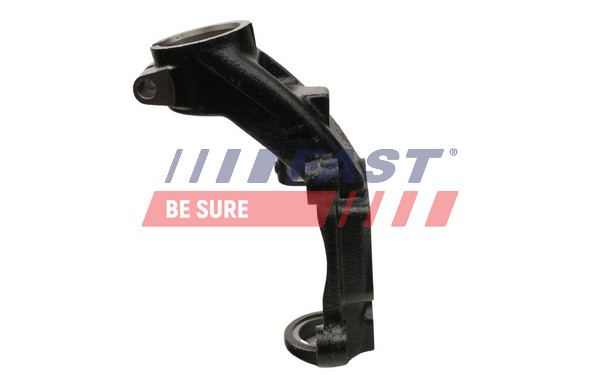 Steering Knuckle, wheel suspension - FT13569 FAST